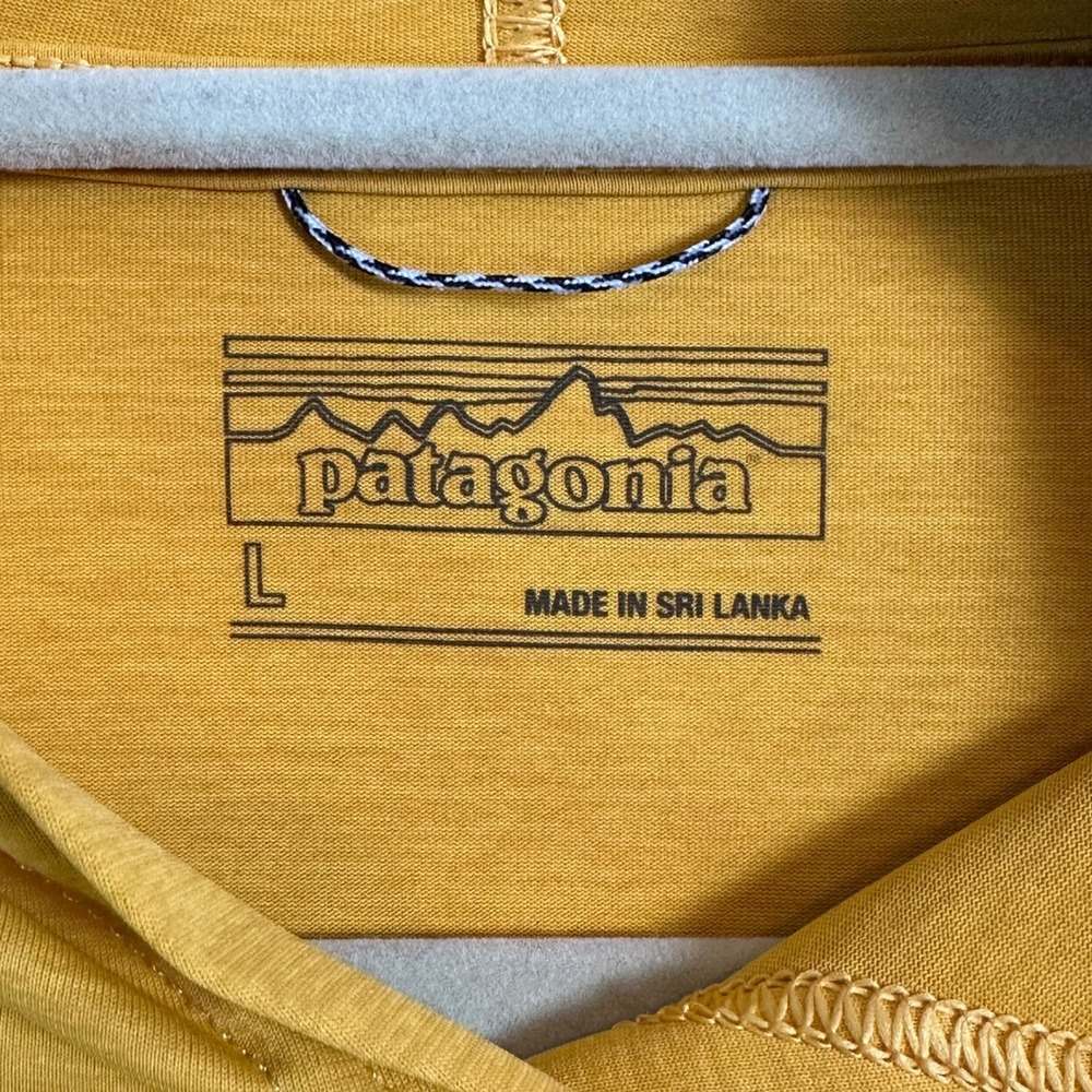 Patagonia Hoody Capilene Cool Daily Graphic Wild Fish Gold L Gorpcore 45335 - Picture 4 of 12